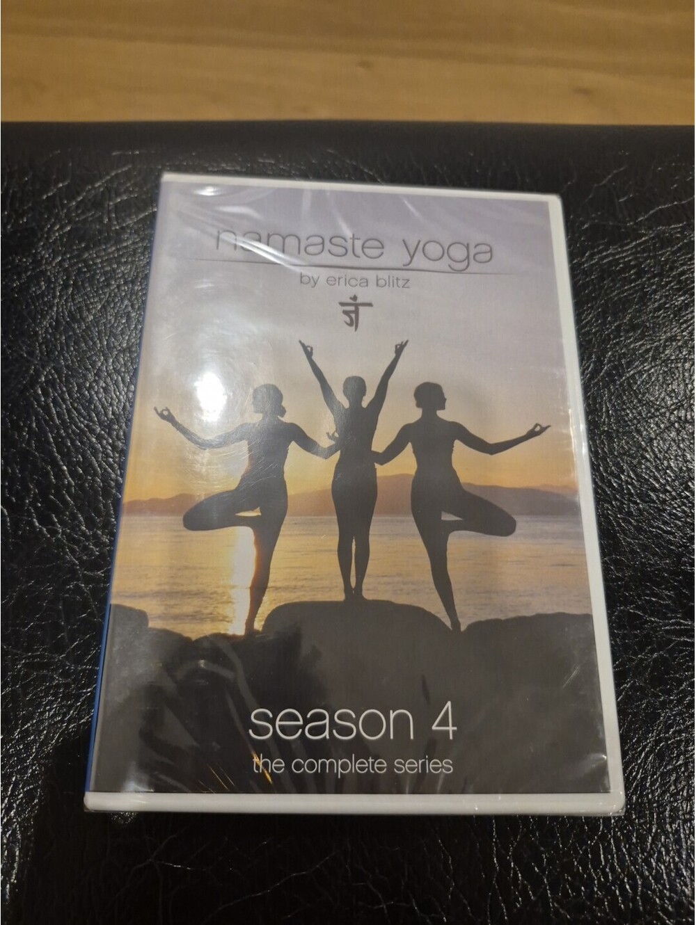 Namaste Yoga: The Complete Season 4 DVD Set Erica Blitz NEW Sealed